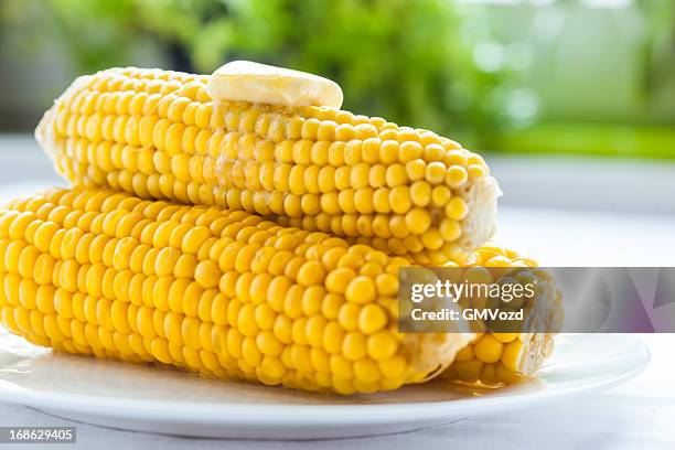 steamed corn - corn on the cob stock pictures, royalty-free photos & images