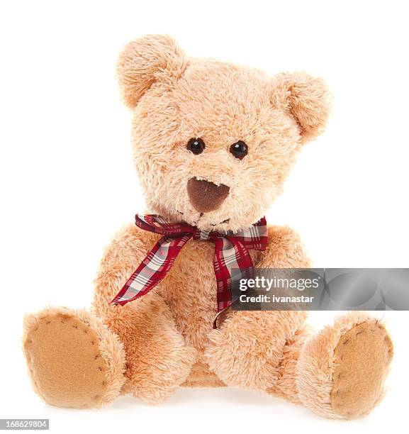 cuteteddy bear toy sitting, isolated on white - bear stock pictures, royalty-free photos & images