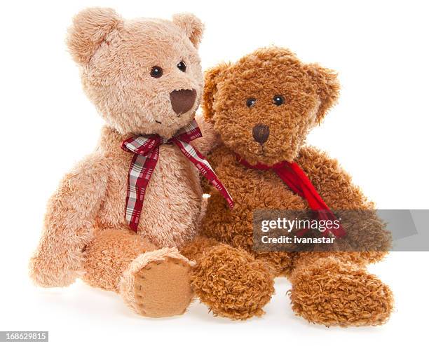 teddy bear friends isolated on white - twee dieren stockfoto's en -beelden