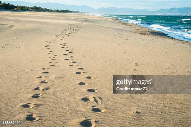 footprint on the sand - beach footprints stock pictures, royalty-free photos & images