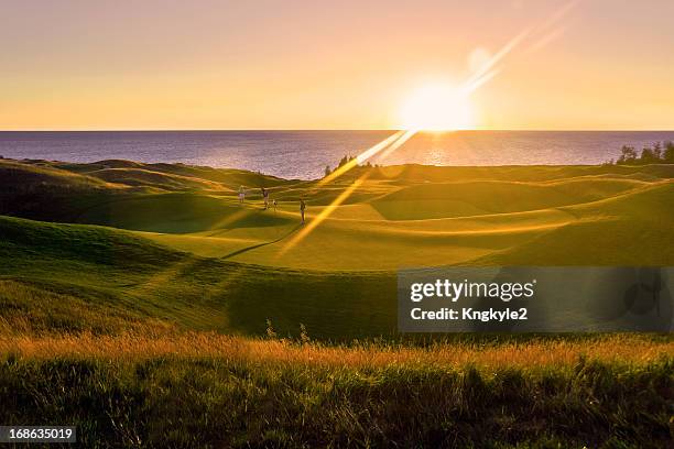 golfe pôr do sol - golf courses imagens e fotografias de stock