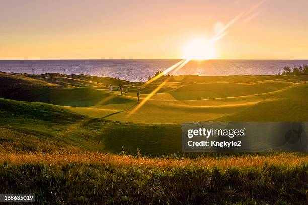 golf sunset - golfbana bildbanksfoton och bilder