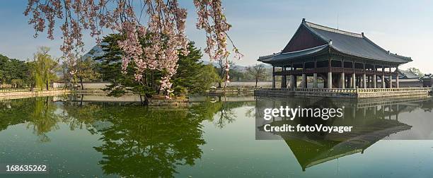 seoul frühjahr blühen über den gyeongbokgung pavillion zur see panorama korea - peace palace stock-fotos und bilder