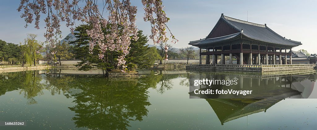 Seoul spring blossom over Gyeongbokgung pavillion reflecting lake panorama Korea