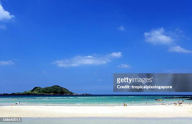 south korea, jeju island, north coast, hyeop-jae beach. - jeju island 個照片及圖片檔