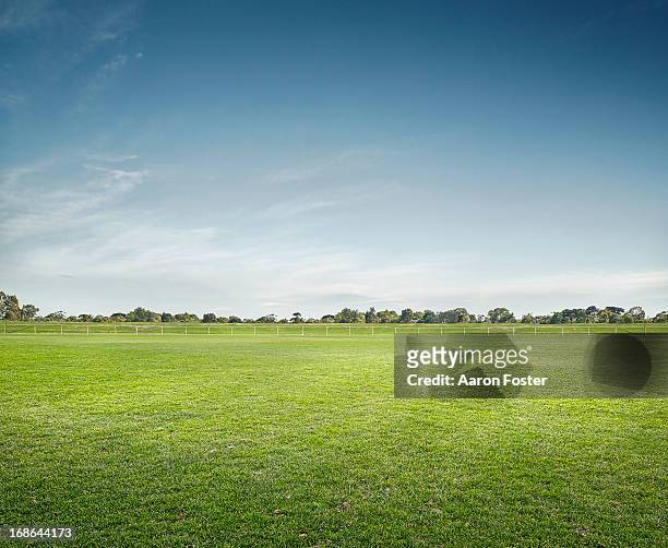 empty sports ground - grass area fotografías e imágenes de stock