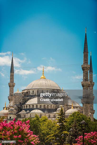 moschea blu di istanbul - moschea foto e immagini stock