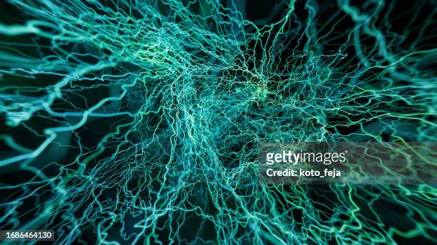 neuron system disease - sensory nerve fibers stock pictures, royalty-free photos & images