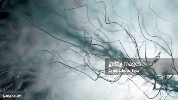 neuron system disease - sensory nerve fibers stock pictures, royalty-free photos & images