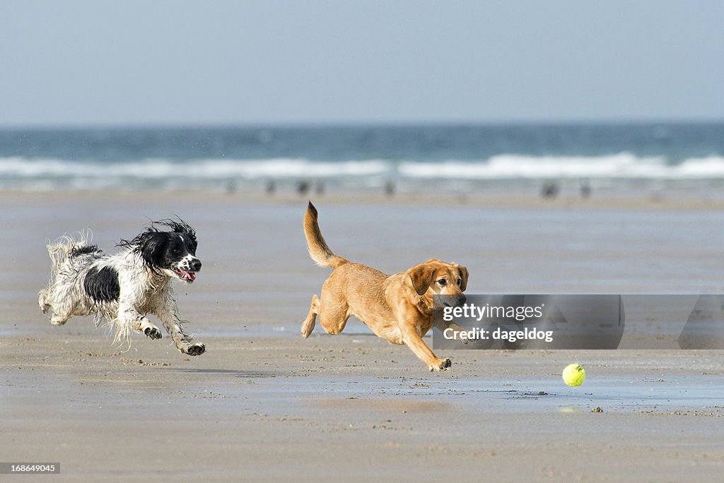 Fun in the sun