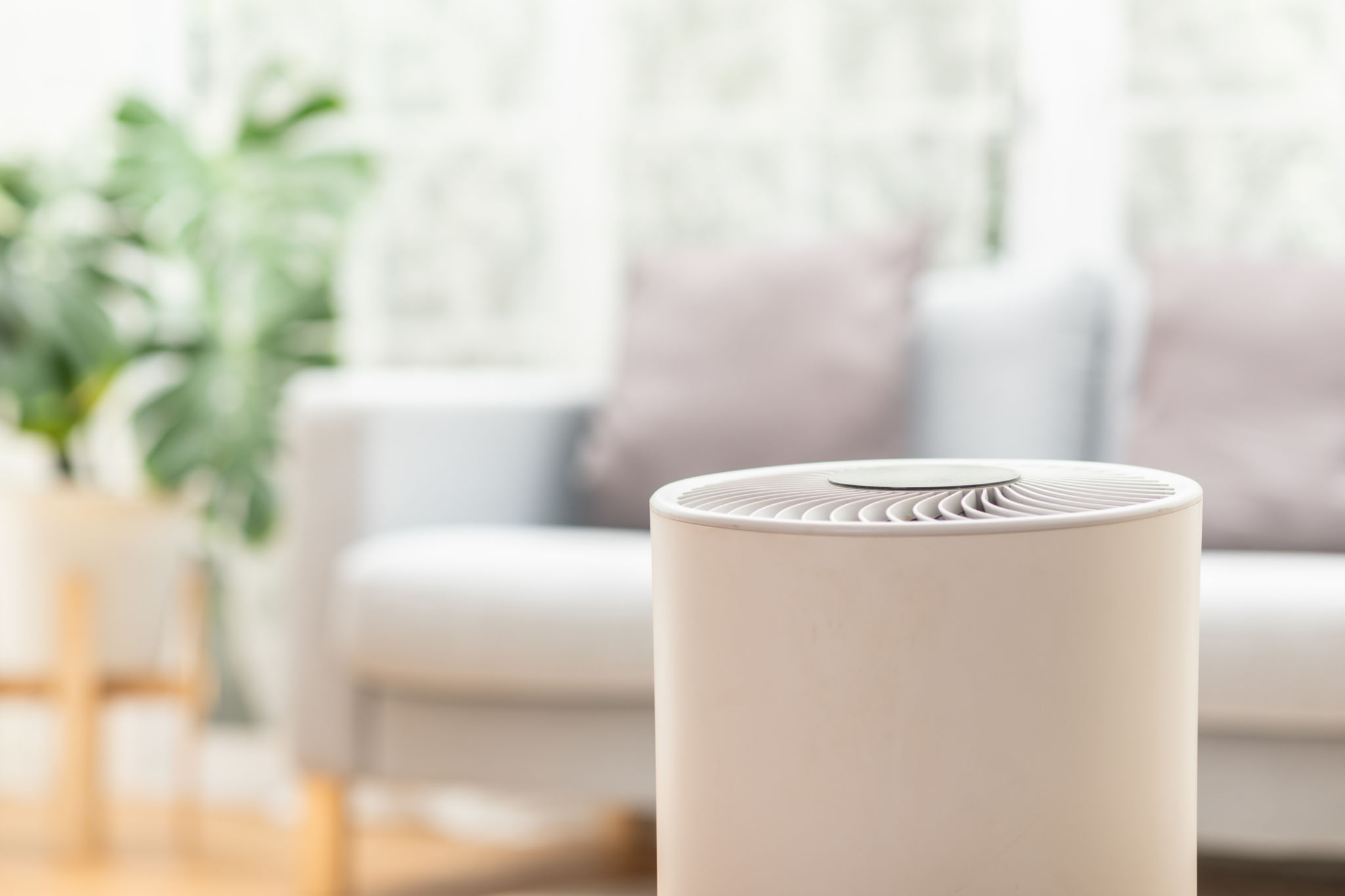 air purification technology