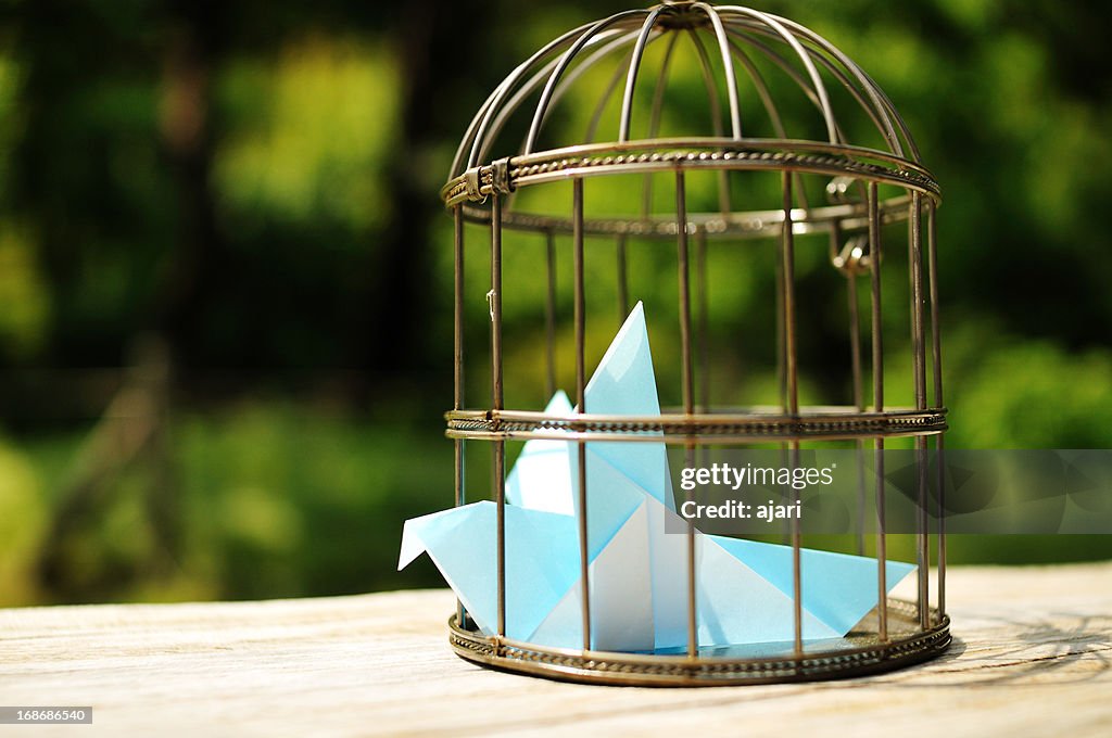L'Oiseau bleu_Bird cage