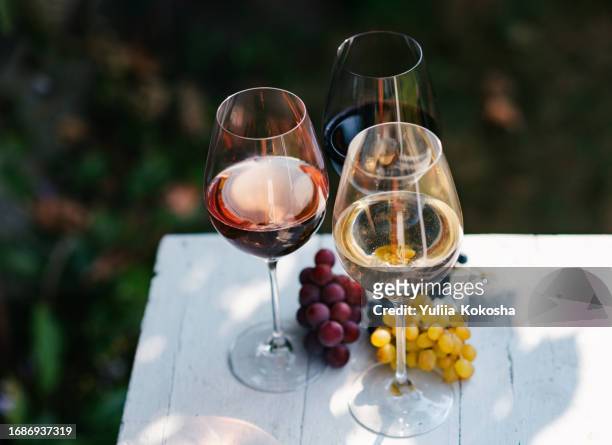 variety of wine for tasting on table in vineyard - cellar stock pictures, royalty-free photos & images
