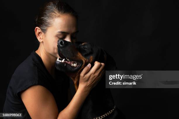 best friend - dog black background stock pictures, royalty-free photos & images