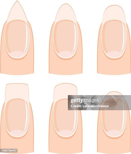 ilustraciones, imágenes clip art, dibujos animados e iconos de stock de formas de las uñas - uña de la mano