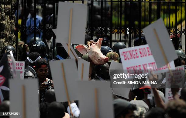 Pigs Protesting Kenya Pig Protest Photos and Premium High Res Pictures - Getty Images