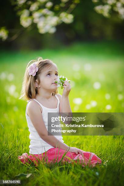 the smell of spring - under skirt stock pictures, royalty-free photos & images