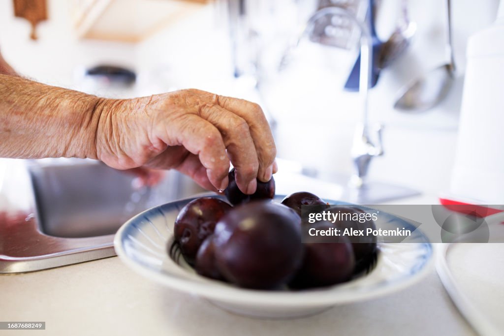 Cropped senior man hand with plums on plate, washing berries in sunny kitchen. Close up, focus on plums on plate and hand