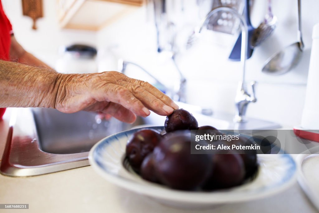 Healthy eating on retirement. Unrecognizable senior man hands washing plums, taking berries from the plate. Back lit, close up