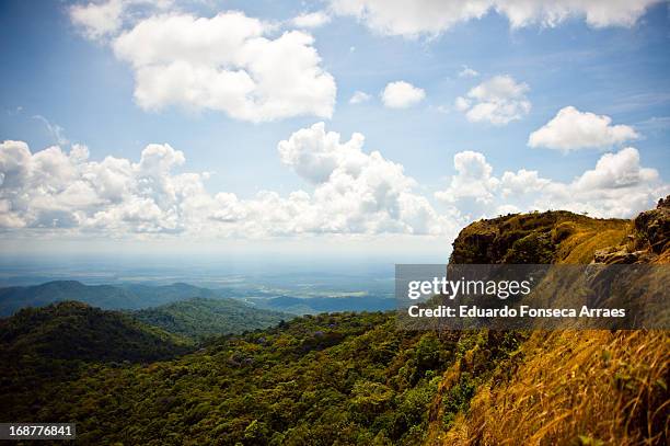 serra do tepequém - northern brazil ストックフォトと画像