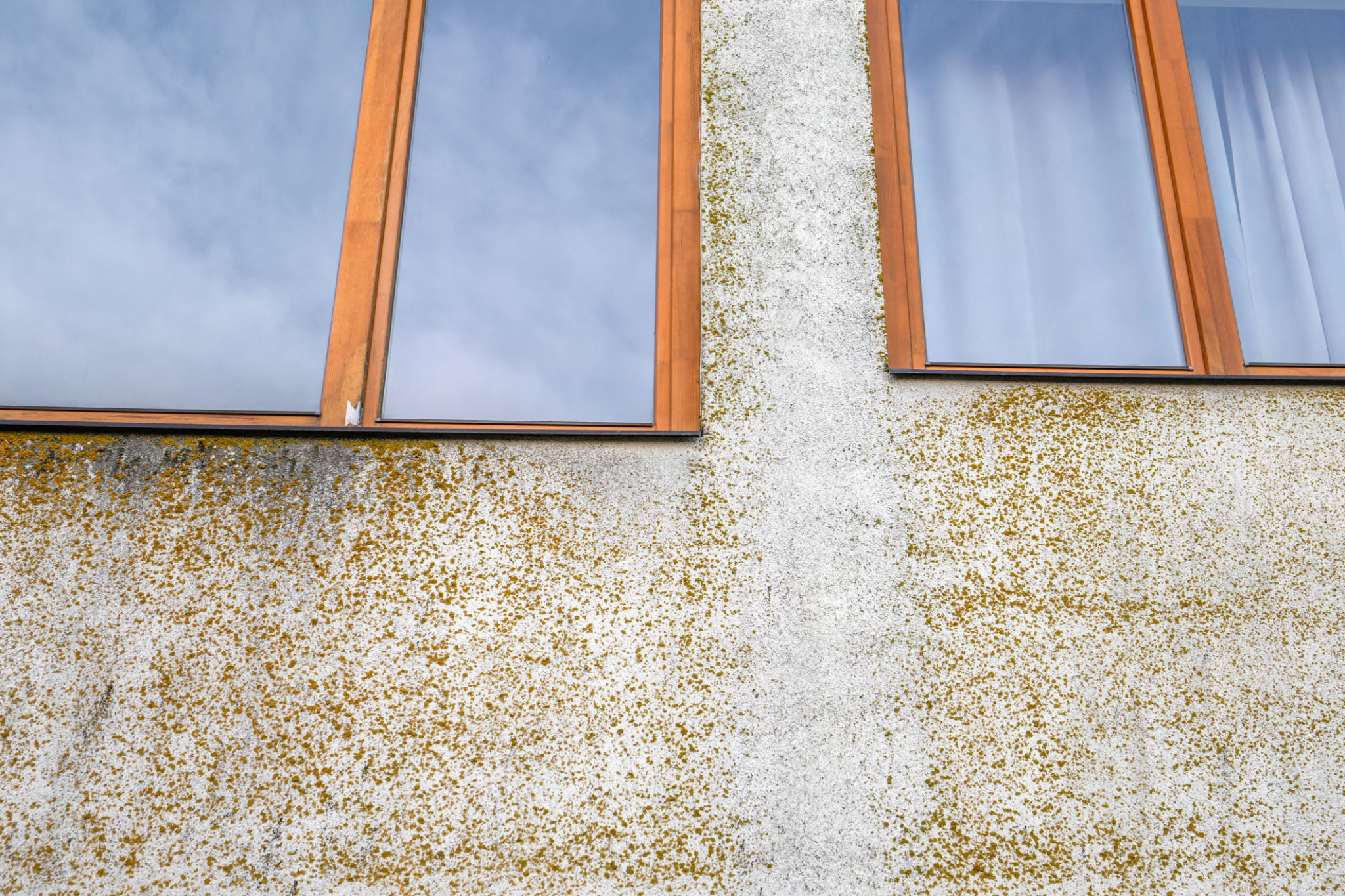 mold defects