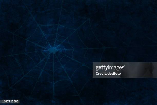 foggy horror midnight background of blank spooky dark blue sky with spider web or cobweb glowing on halloween theme wallpaper or backdrop - spider web background stock illustrations