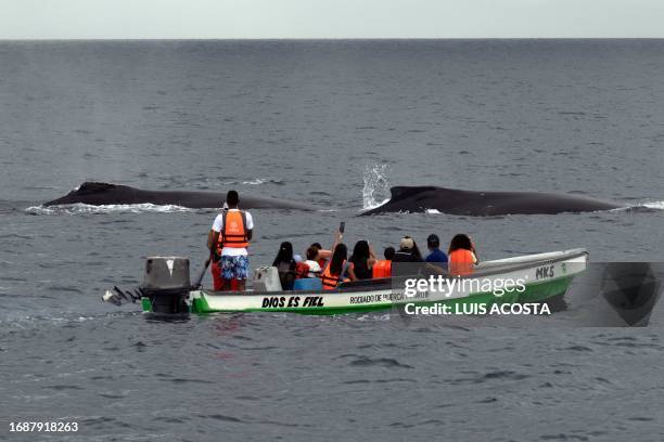 Tourists look at a humpback whale that surfaces out of the Pacific Ocean's waters at Contadora Island in Panama on September 24, 2023. Humpback...