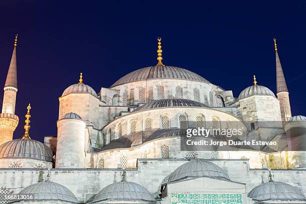 blue mosque in istanbul at dusk - jorge duarte estevao stockfoto's en -beelden