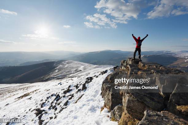 the joy of success - people with arms raised stock pictures, royalty-free photos & images