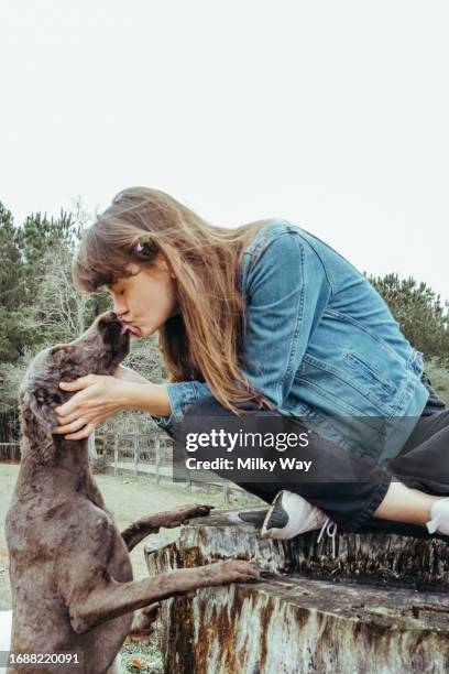 happy woman with doodle dog playing outdoor. walking with pet. domestic puppy licks the face of his happy owner. - tique brune du chien photos et images de collection