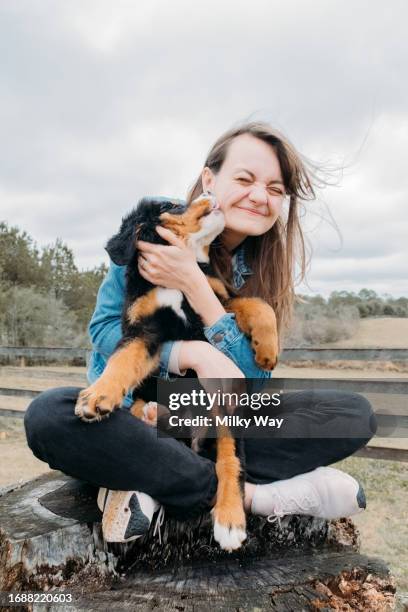 happy woman with small dog playing outdoor. walking with pet. puppy licks the face of his happy owner. - zecca bruna del cane foto e immagini stock
