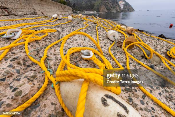 usa, california, catalina island, avalon, nautical rope and buoys on sea coast - avalon catalina island california stock pictures, royalty-free photos & images
