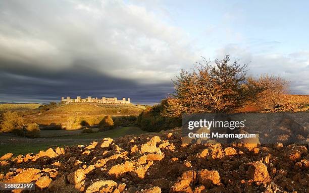 view of the town - monteriggioni stock pictures, royalty-free photos & images