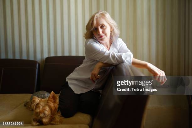 woman leaning on sofa next to yorkshire terrier in living room - yorkshire terrier - fotografias e filmes do acervo