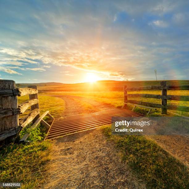 farm enclosure with bright sunset in background - outback queensland stock pictures, royalty-free photos & images