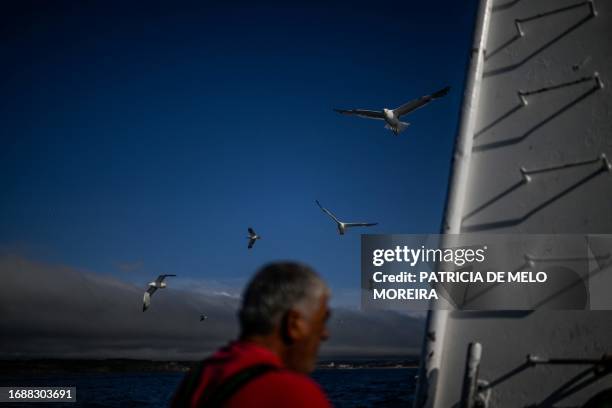 Seagulls follow the "Deus Nao Falta" fishing boat during a fishery off Peniche on June 19, 2023. An icon of the local festivities, that brings people...