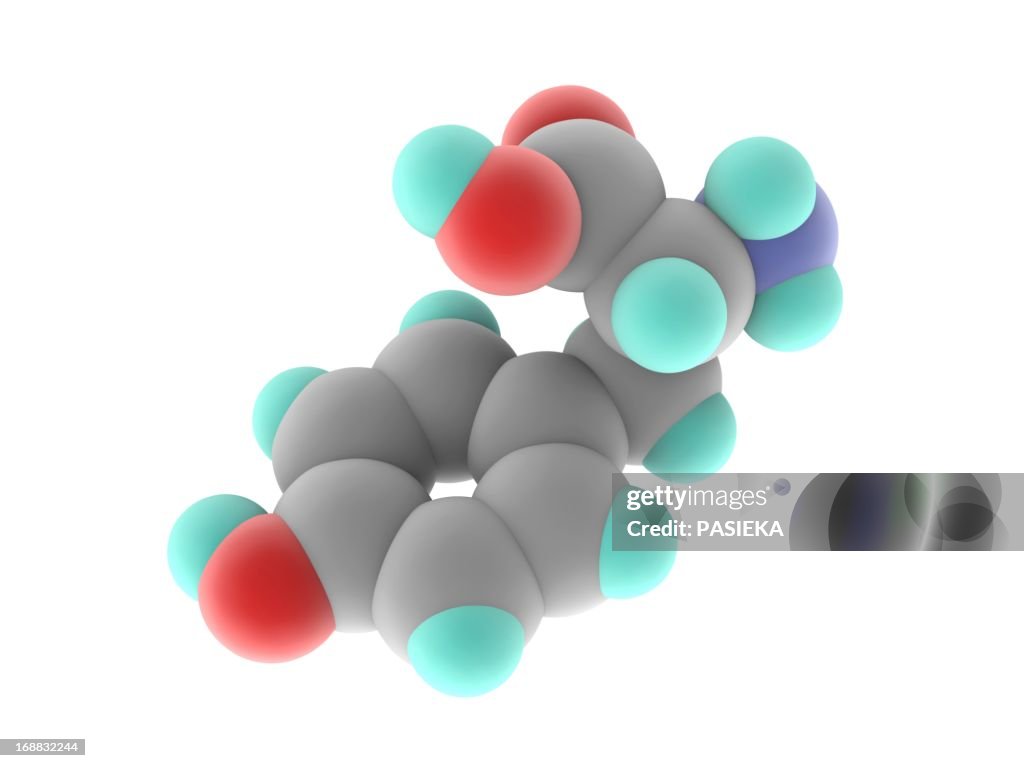 Tyrosine molecule