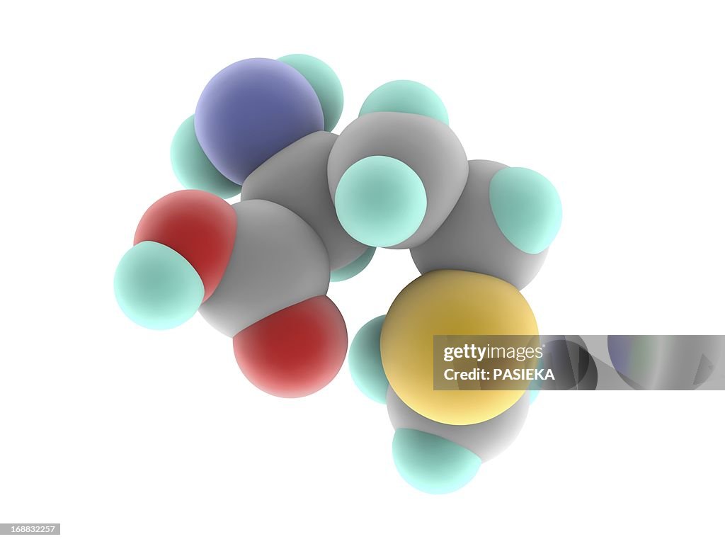 Methionine molecule