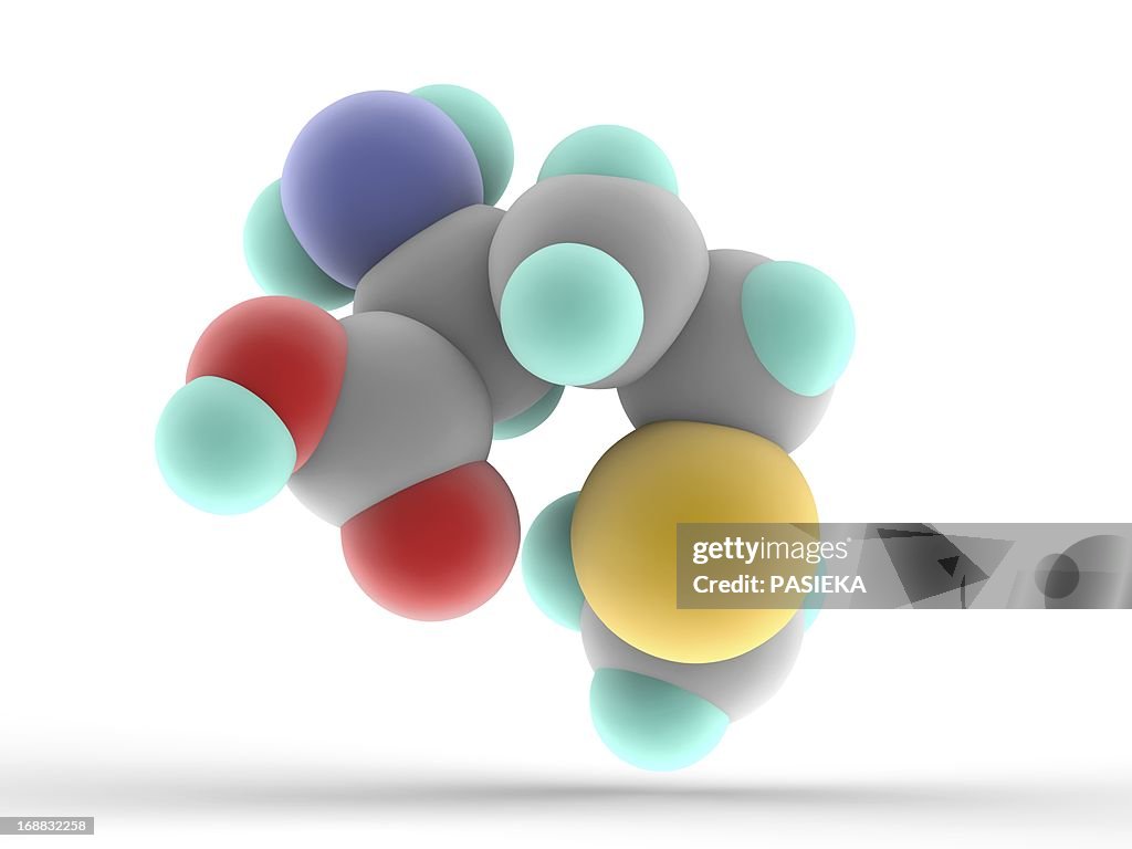 Methionine molecule