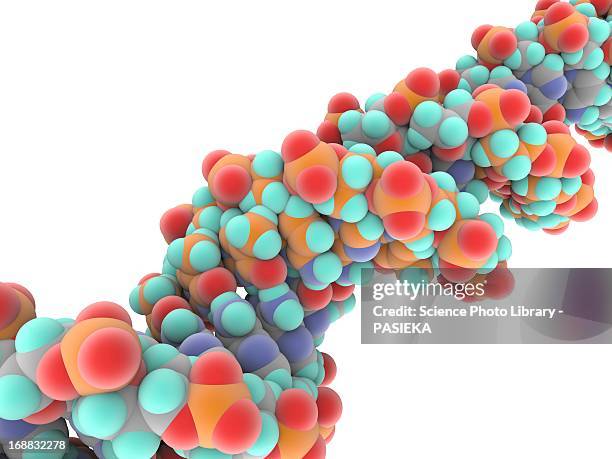dna molecule - molecule model stock illustrations