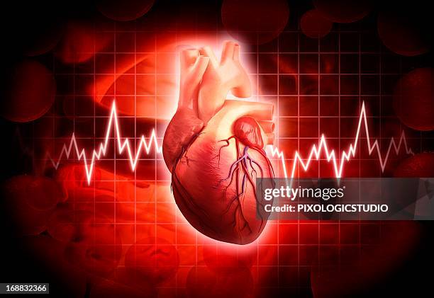 human heart, artwork - cardiovascular system stock illustrations stock illustrations