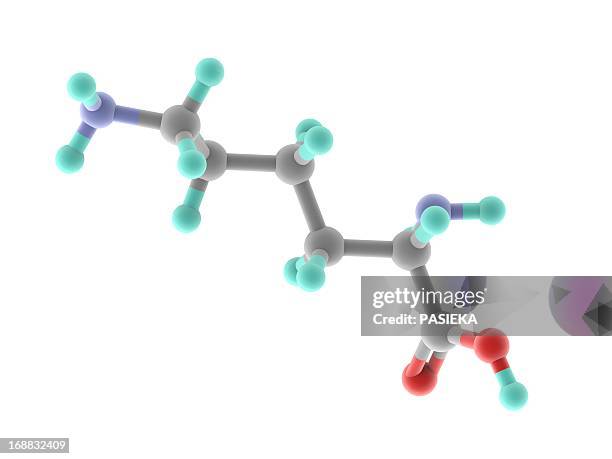 lysine molecule - lysine stock illustrations