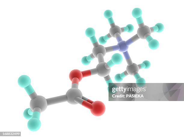 acetylcholine molecule - acetylcholine stock illustrations