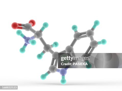 Tryptophan molecule Tryptophan molecule
