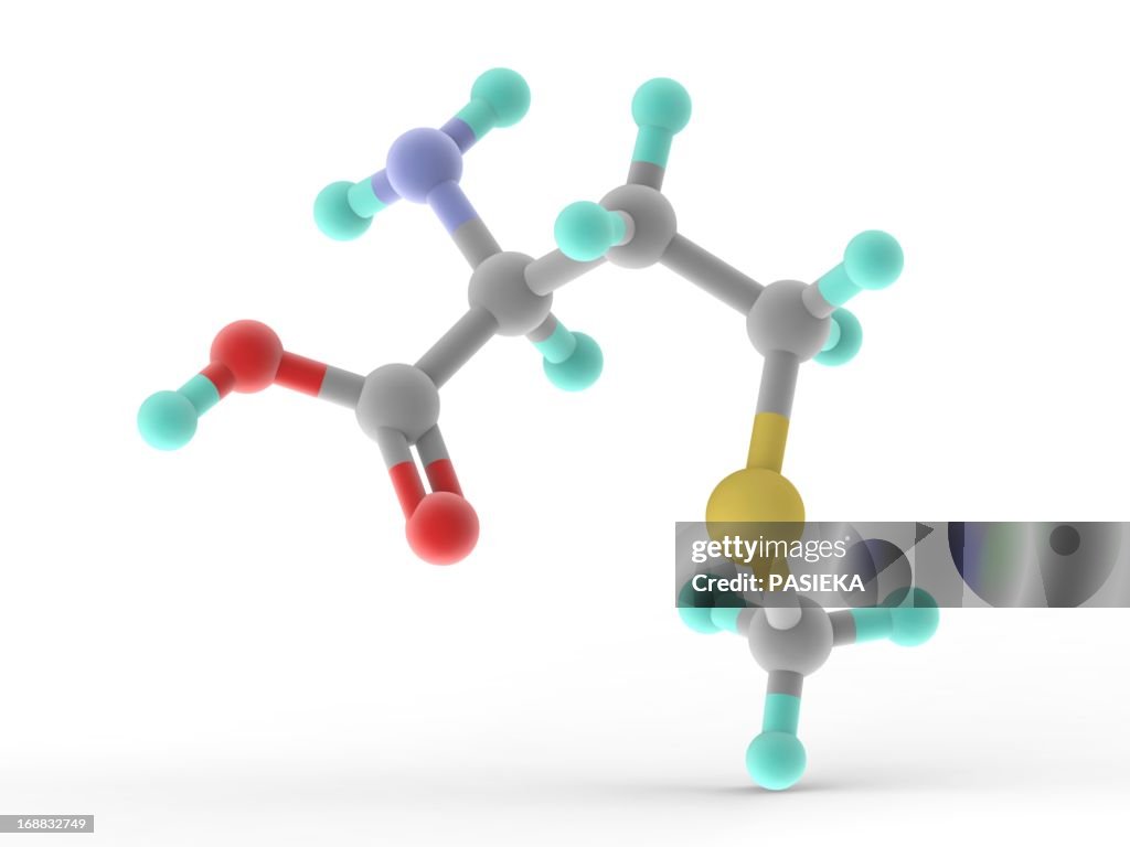 Methionine molecule