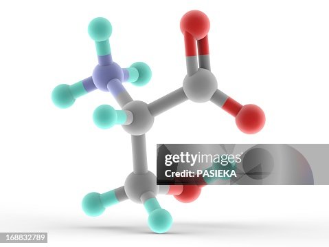 Serine molecule Serine molecule