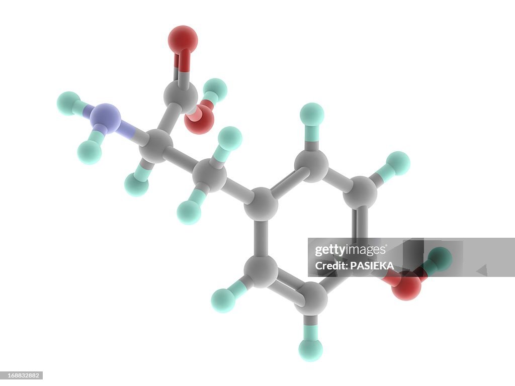 Tyrosine molecule