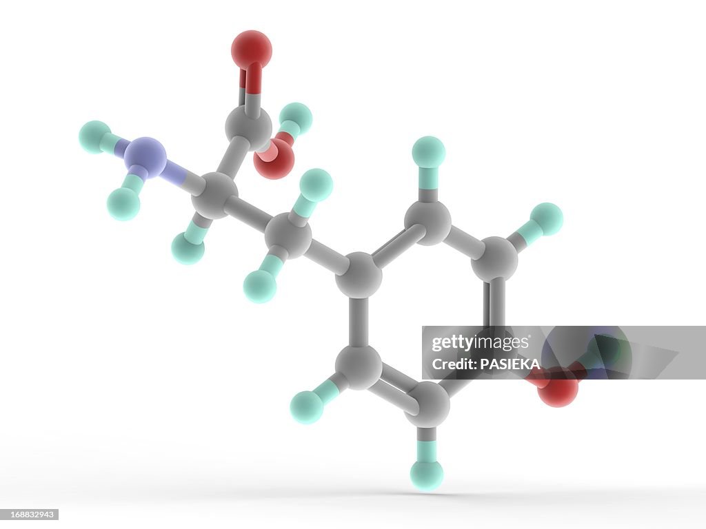Tyrosine molecule