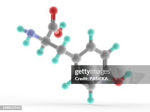 Tyrosine molecule Tyrosine molecule