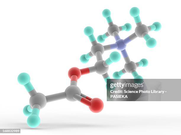 acetylcholine molecule - acetylcholine stock illustrations